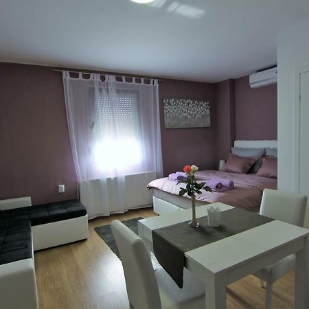 Apartment Mavero-Free Private Parking ザグレブ エクステリア 写真