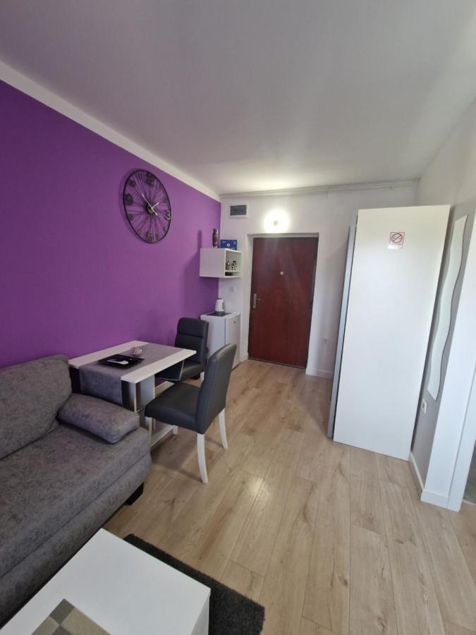 Apartment Mavero-Free Private Parking ザグレブ エクステリア 写真